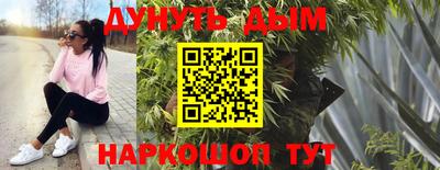 крисы Северобайкальск
