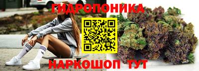 ECSTASY Сланцы