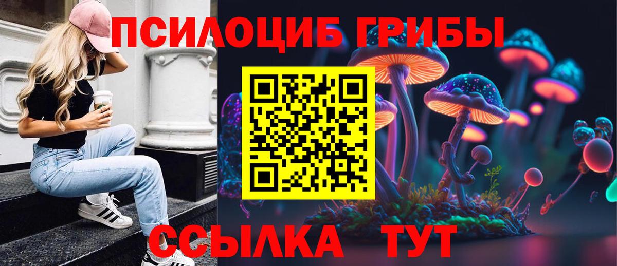 Саянск  Галлюциногенные грибы MAGIC MUSHROOMS  Вход с VPN 
