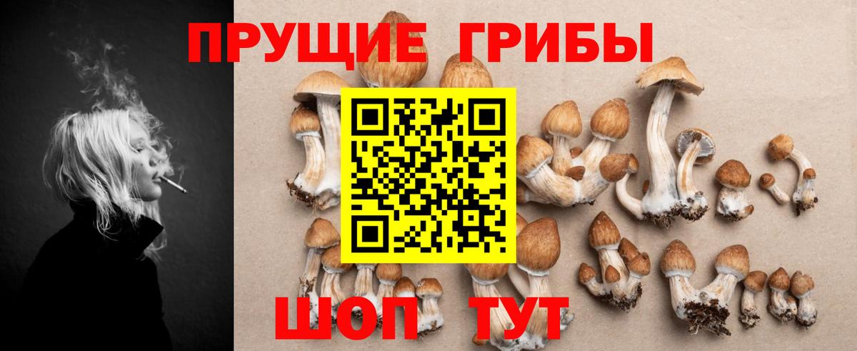Галлюциногенные грибы MAGIC MUSHROOMS Саянск